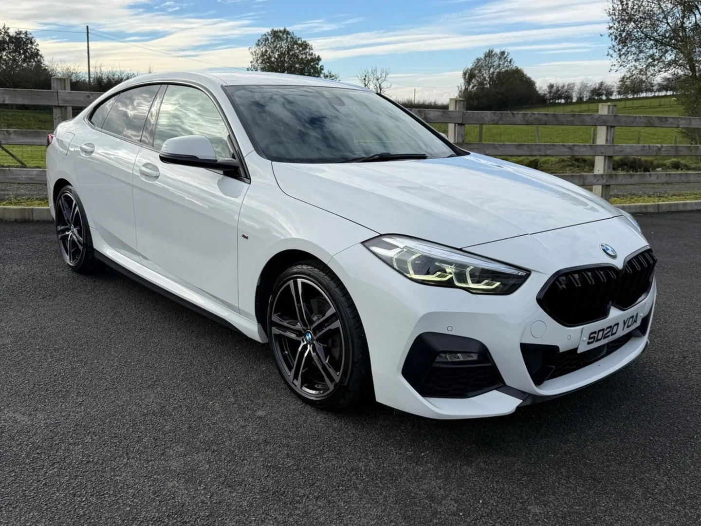 2020 BMW 2 Series 1.5 218i M Sport Euro 6 (s/s) 4dr