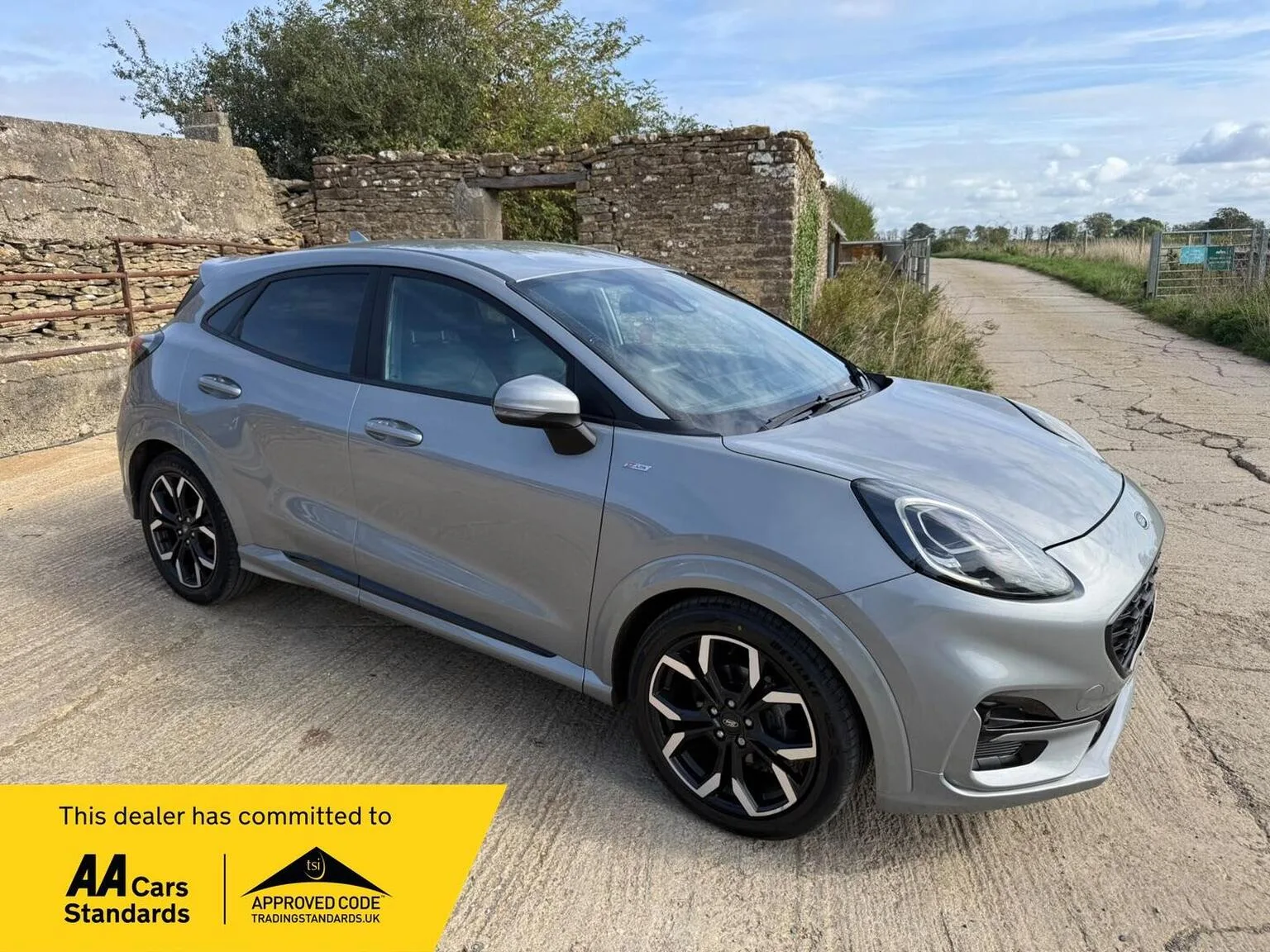 2020 Ford Puma 1.0T EcoBoost MHEV ST-Line X Euro 6 (s/s) 5dr