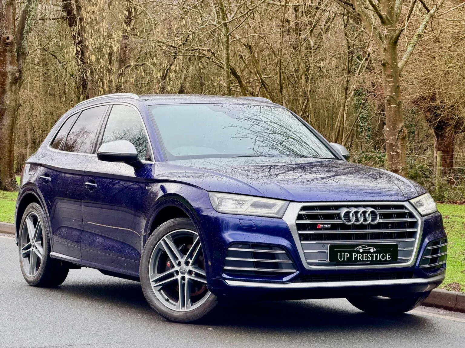 2017 Audi Sq5 3.0 TFSI V6 Tiptronic quattro Euro 6 (s/s) 5dr