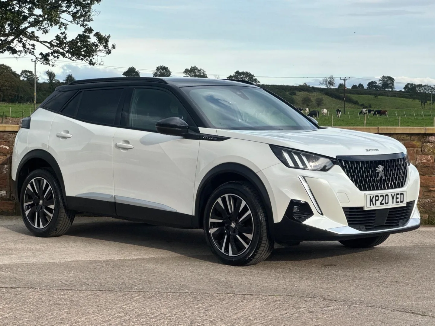 2020 Peugeot 2008 1.2 PureTech GT Line Euro 6 (s/s) 5dr