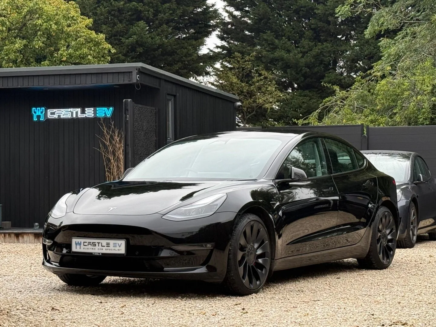 2022 Tesla Model 3 (Dual Motor) Performance Auto 4WDE 4dr (Performance Upgrade)