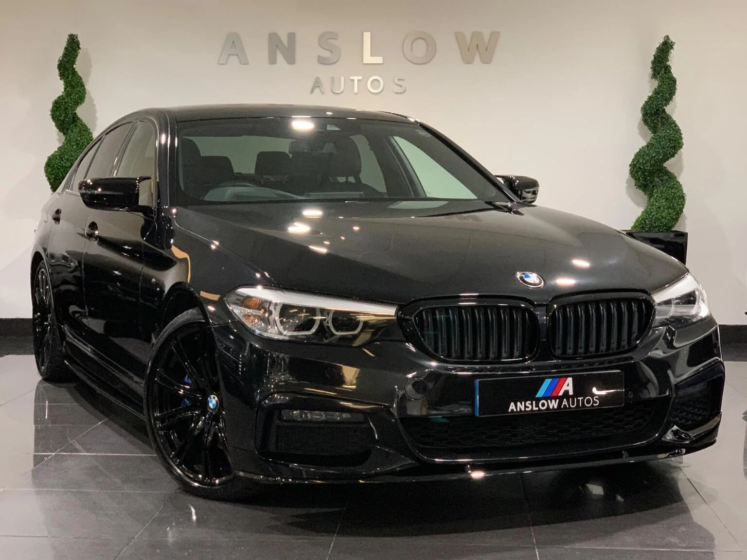2019 BMW 5 Series 3.0 530d M Sport Auto xDrive Euro 6 (s/s) 4dr