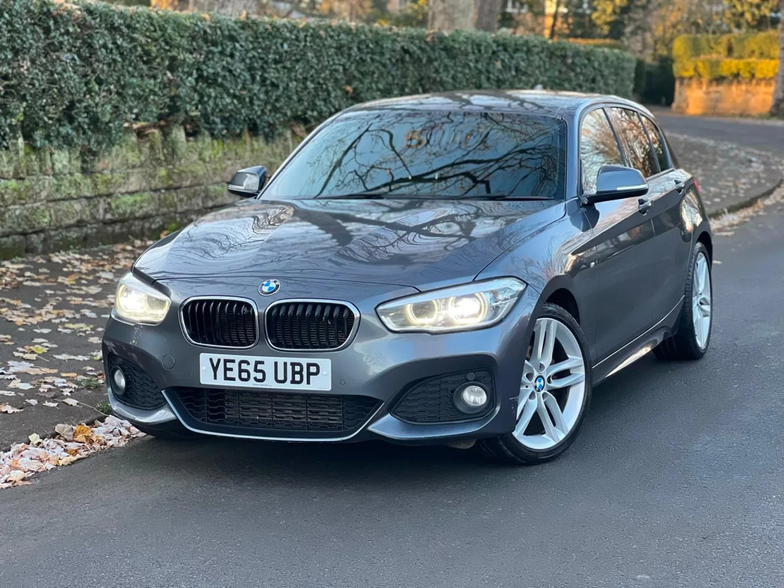 2015 BMW 1 Series 2.0 120d M Sport 5-Door
