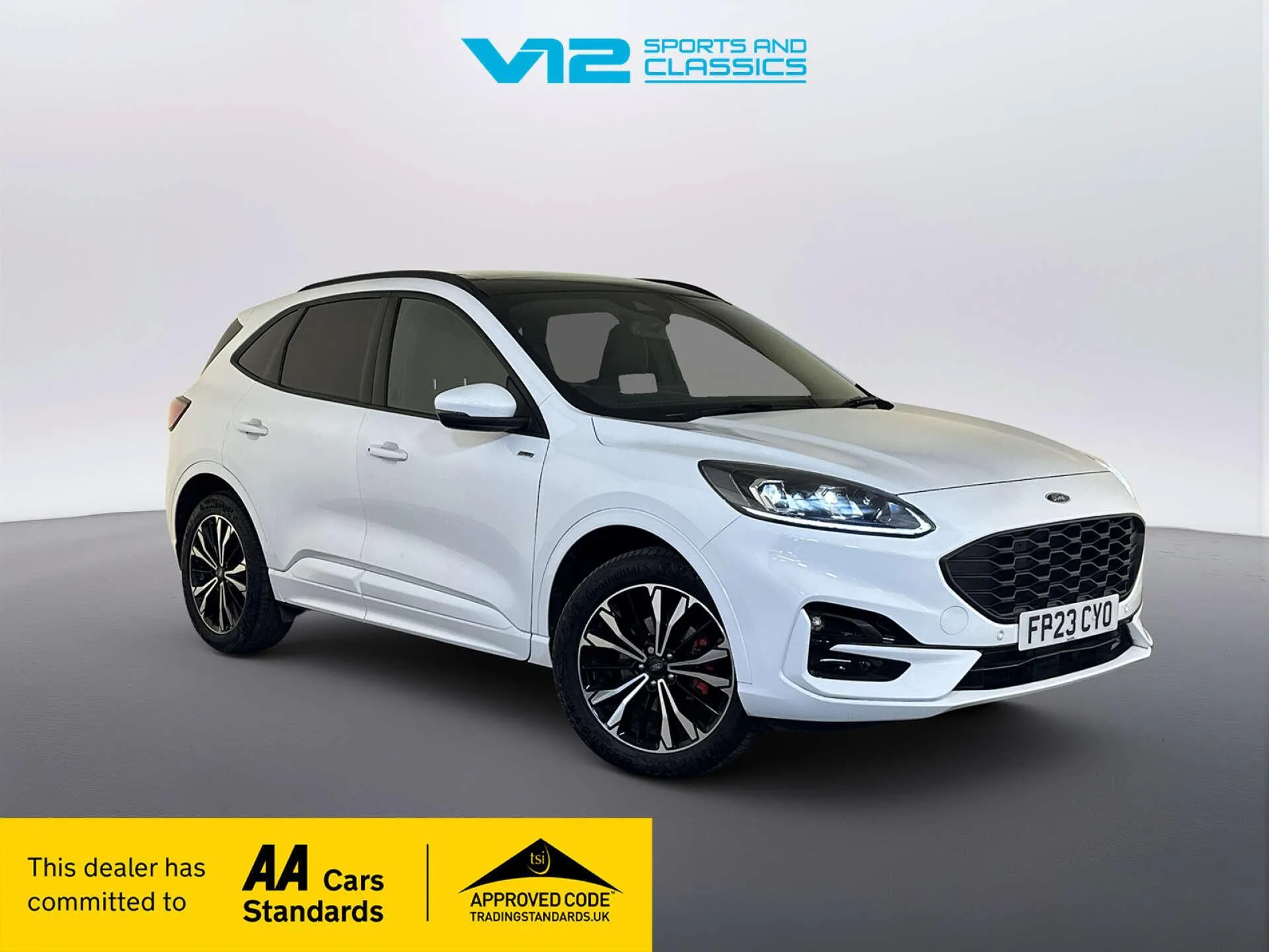 2023 Ford Kuga 2.5 EcoBoost Duratec 14.4kWh ST-Line X SUV 5dr Petrol Plug-in Hybrid CVT Euro 6 (s/s) (225 ps)