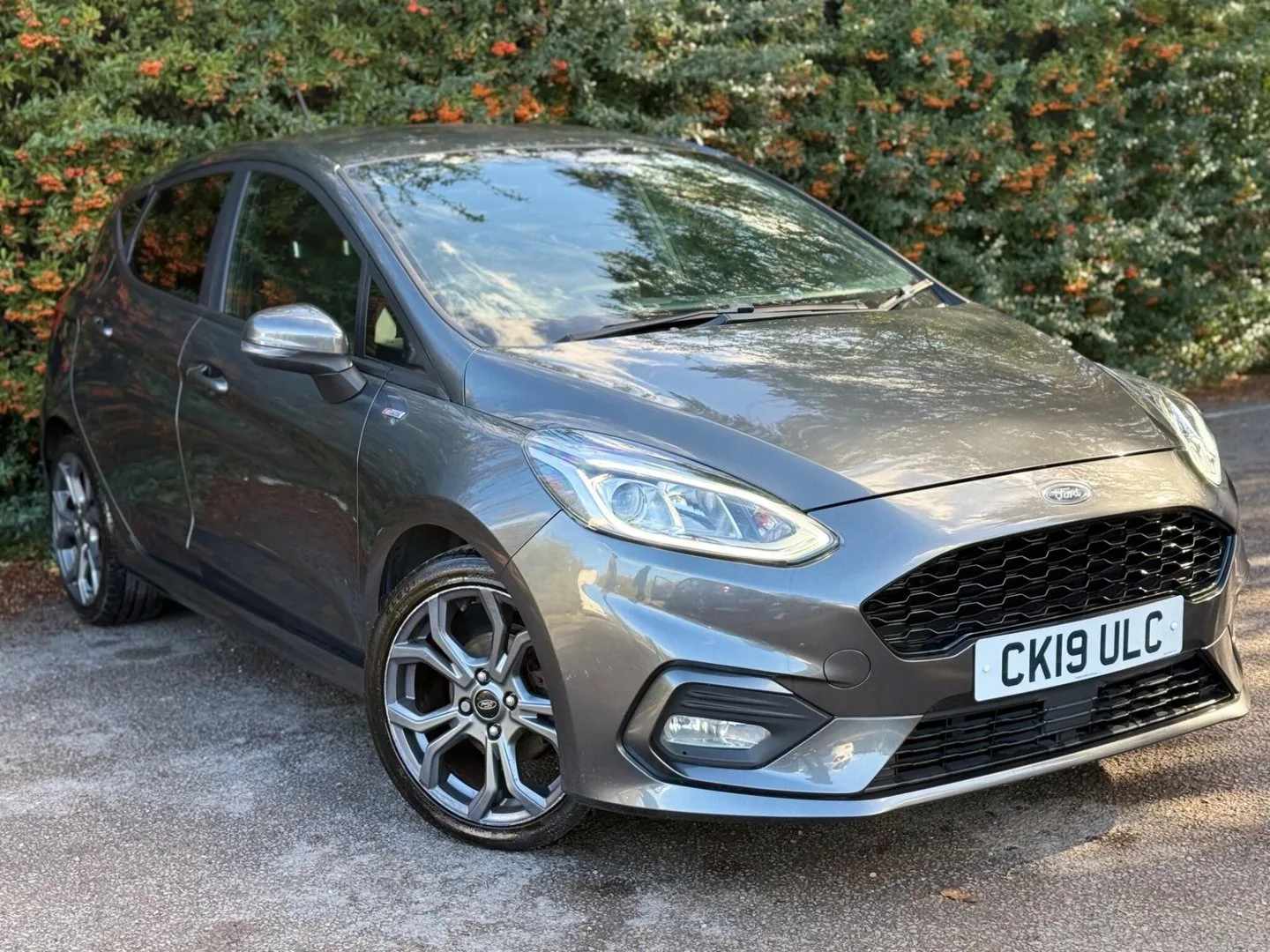 2019 Ford Fiesta 1.0T EcoBoost ST-Line Euro 6 (s/s) 5dr