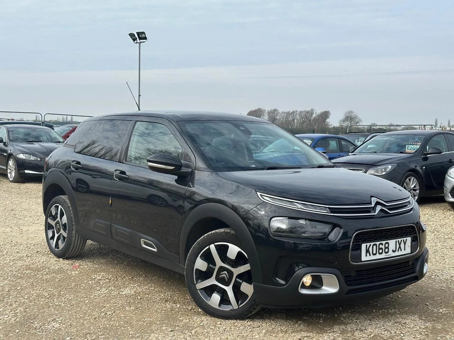 2019 Citroen C4 Cactus 1.5 BlueHDi Flair Euro 6 (s/s) 5dr