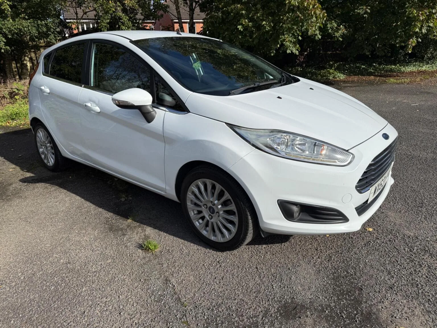 2013 Ford Fiesta 1.0T EcoBoost Titanium Euro 5 (s/s) 5dr