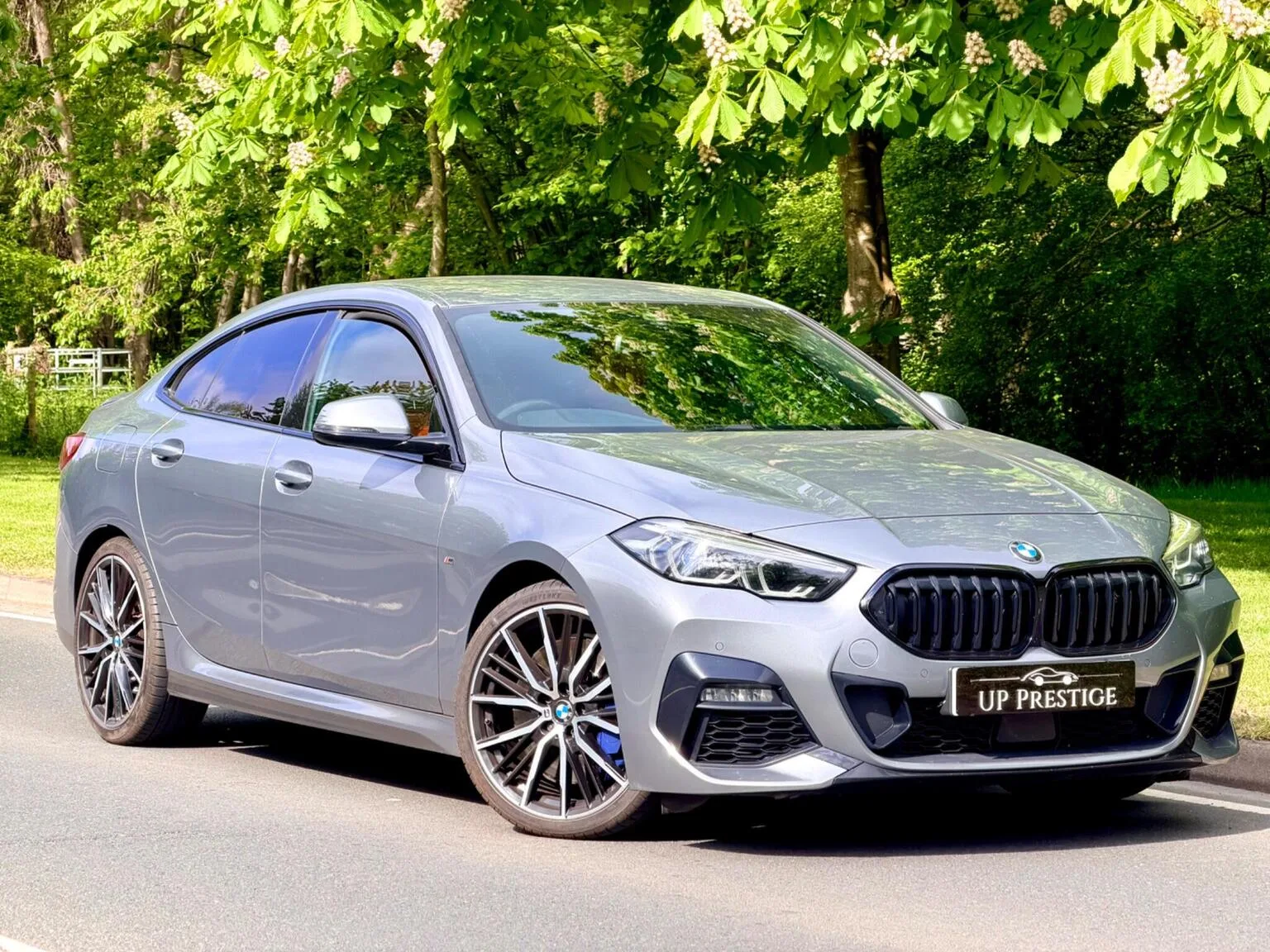 2021 BMW 2 Series Gran Coupe 2.0 220d M Sport Auto Euro 6 (s/s) 4dr