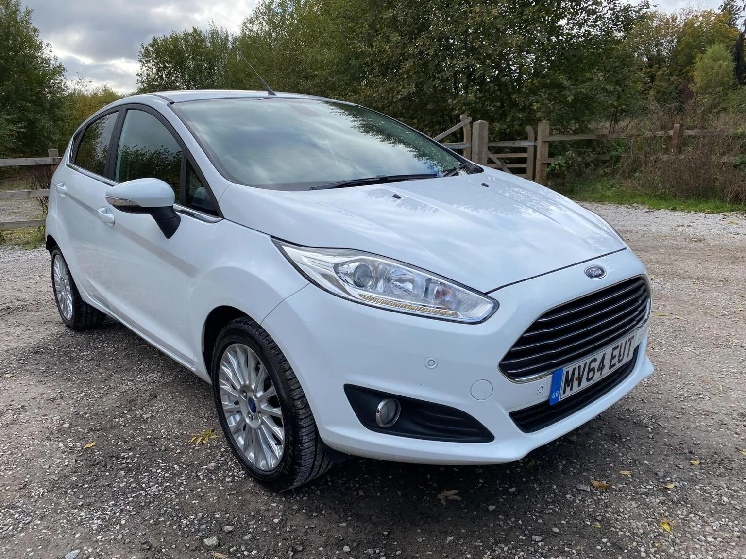 2014 Ford Fiesta 1.0T EcoBoost Titanium Euro 5 (s/s) 5dr