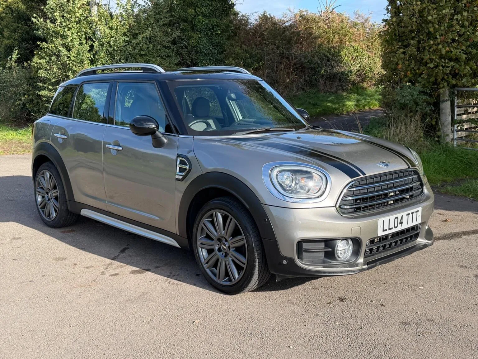 2017 Mini Countryman 1.5 Cooper Auto Euro 6 (s/s) 5dr