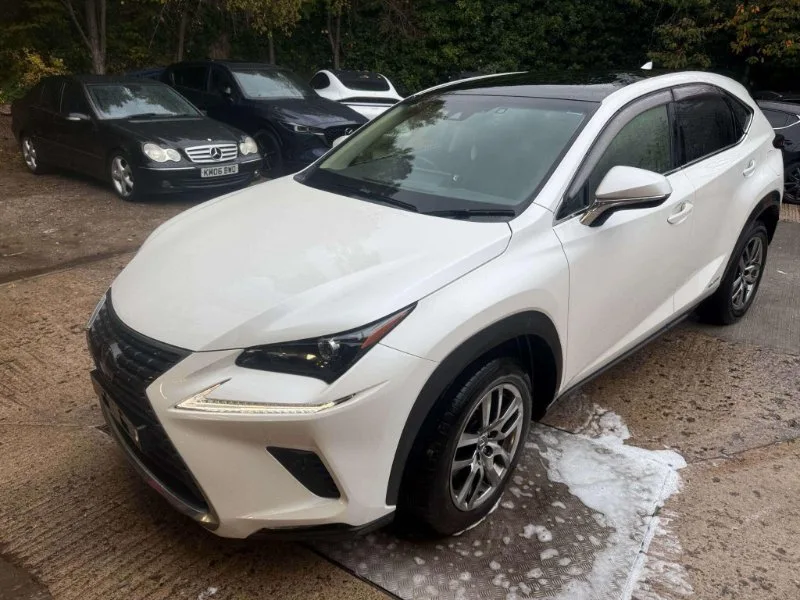 2019 Lexus NX 2.5 300h Premium E-CVT 4WD Euro 6 (s/s) 5dr