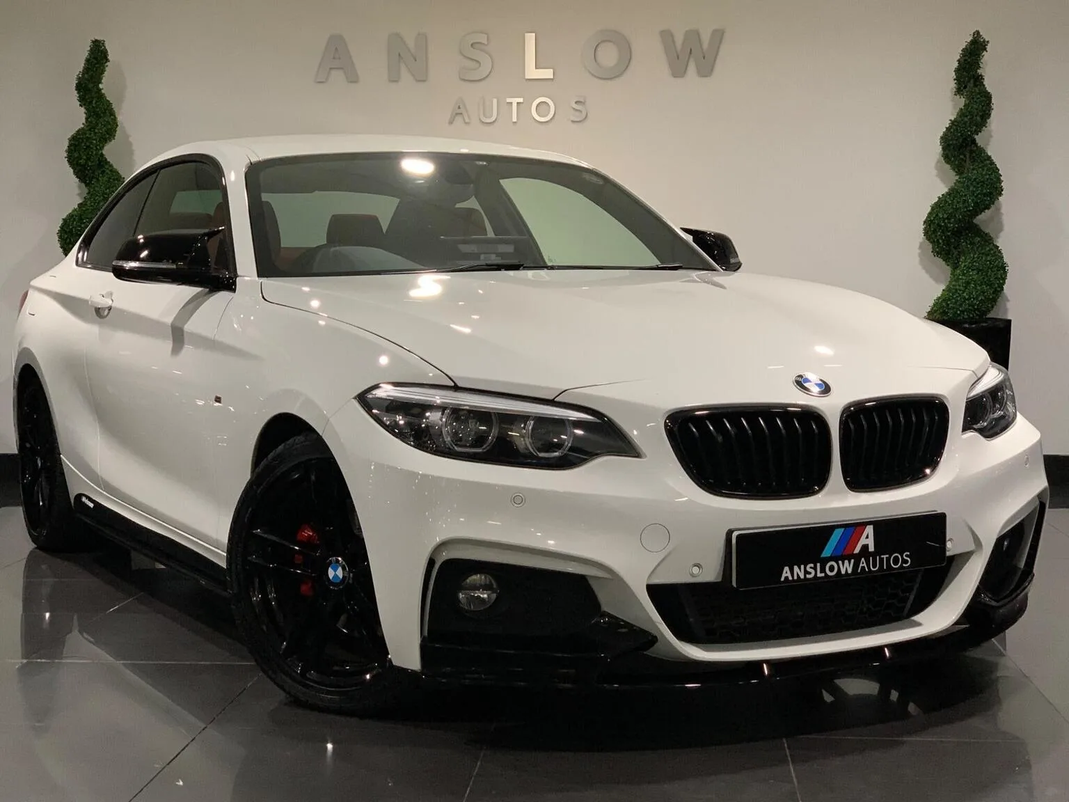 2019 BMW 2 Series 2.0 225d M Sport Auto Euro 6 (s/s) 2dr